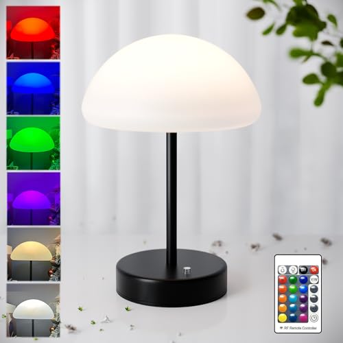 16 Color Changing Rechargeable LED Mood Lamp V266010