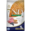 Lamb & Blueberry Dog Dry Food O17835