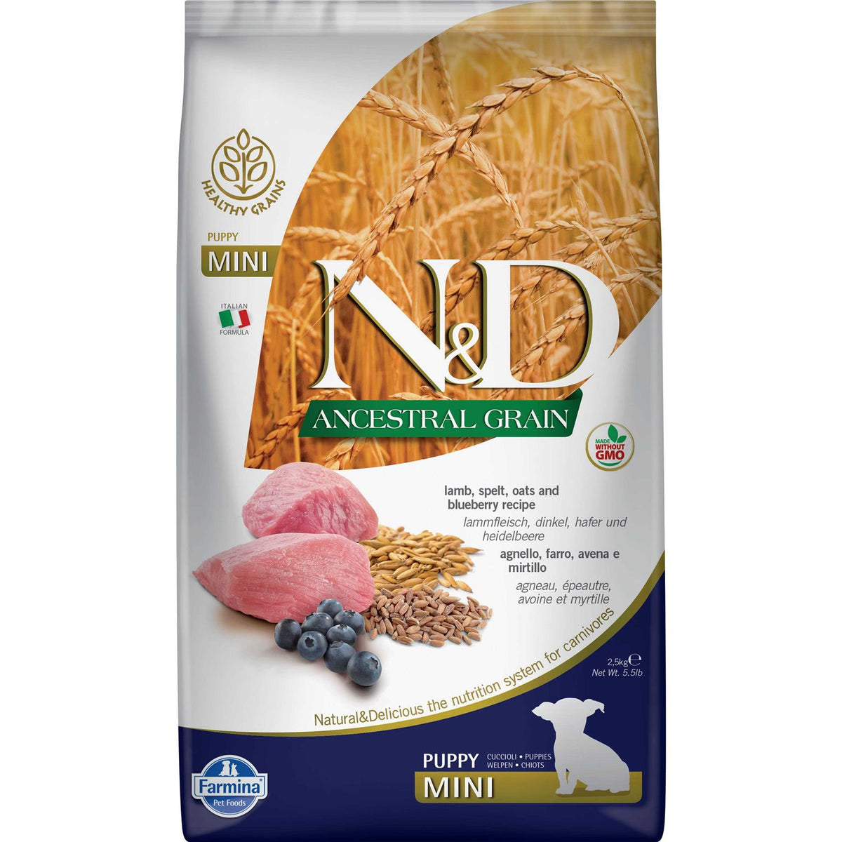 Lamb & Blueberry Dog Dry Food O17835