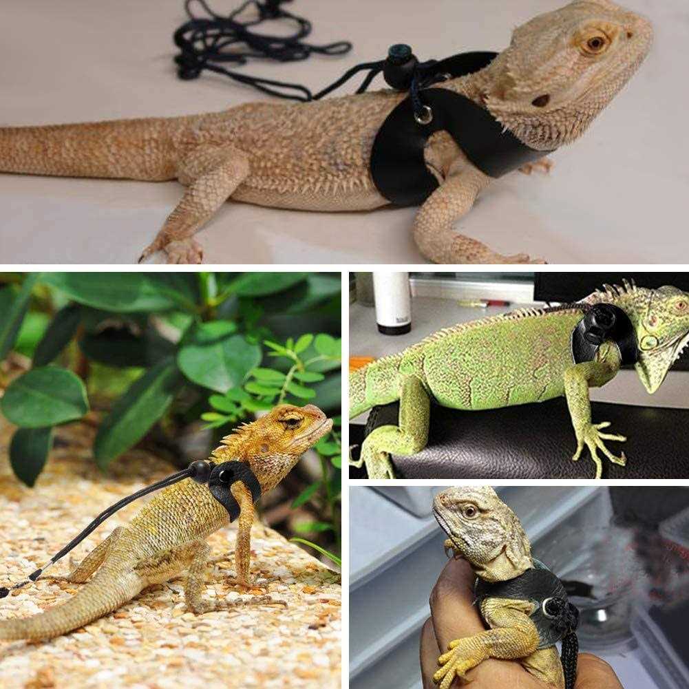 Adjustable Soft Leather Bearded Dragon Harness and Leash T2222