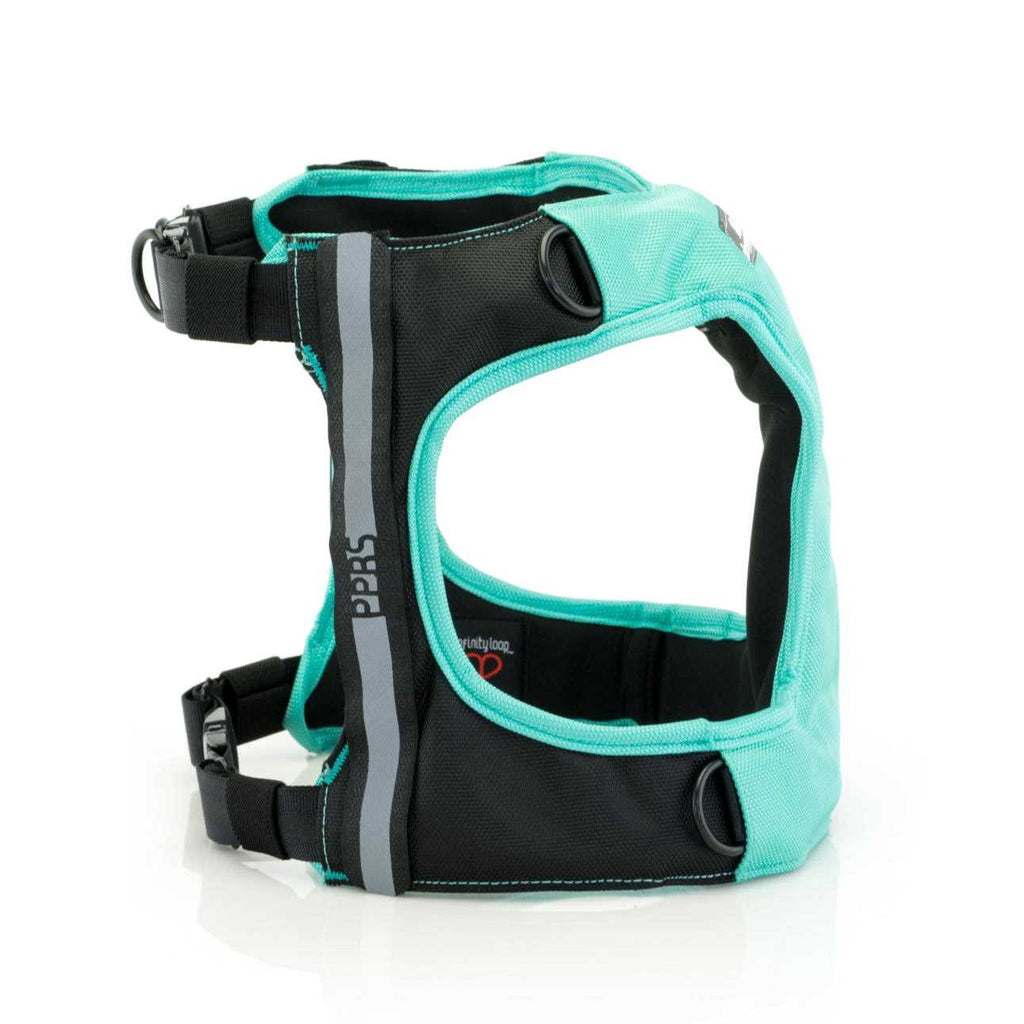 Safety O316