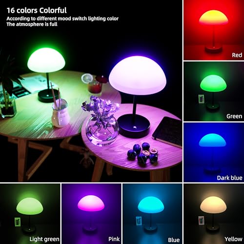 16 Color Changing Rechargeable LED Mood Lamp V266010
