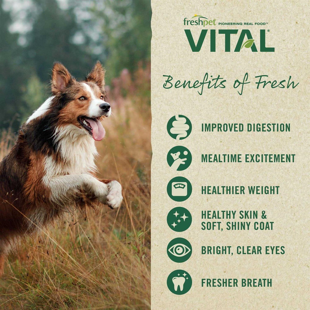 Grain Free Chicken Beef Pet Supplies P5628
