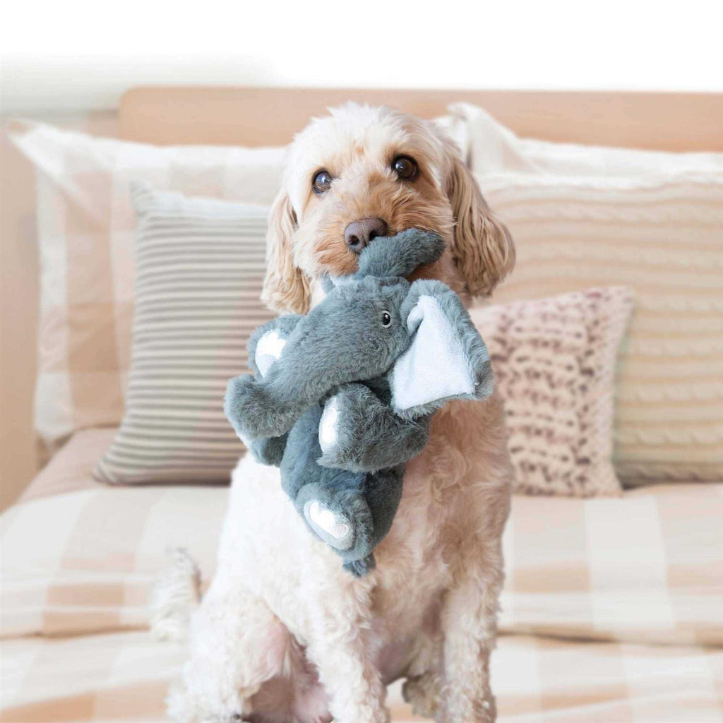 Bear Dog Toy A9471