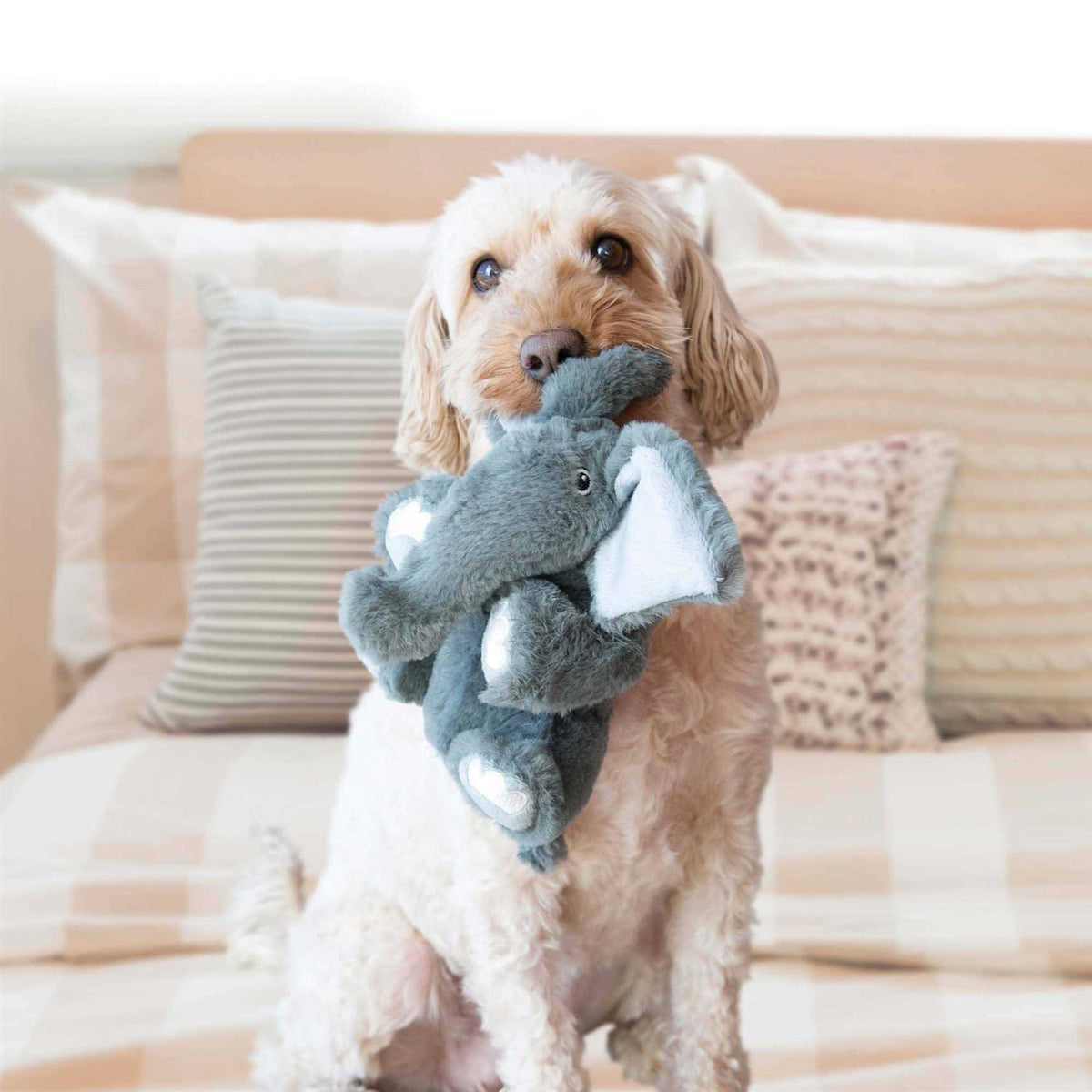 Bear Dog Toy A9471