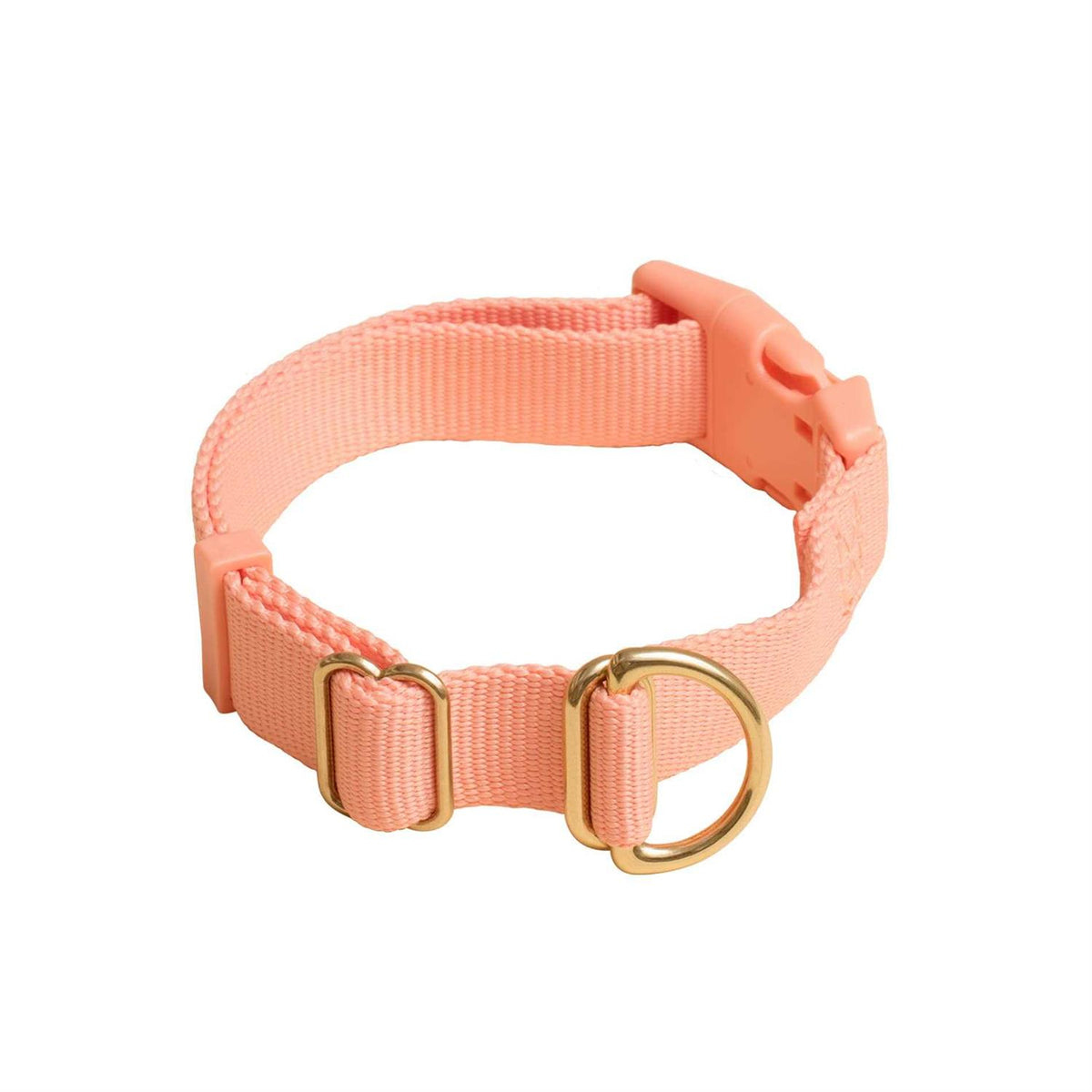 Standard Dog Collar W46326