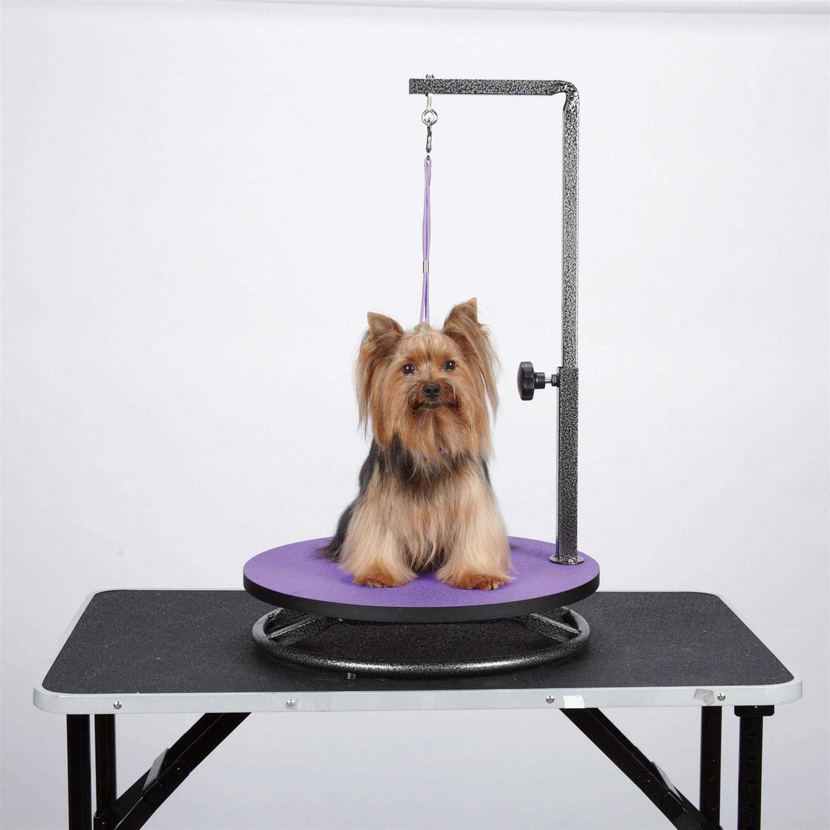 Small Pet Grooming Table A10038