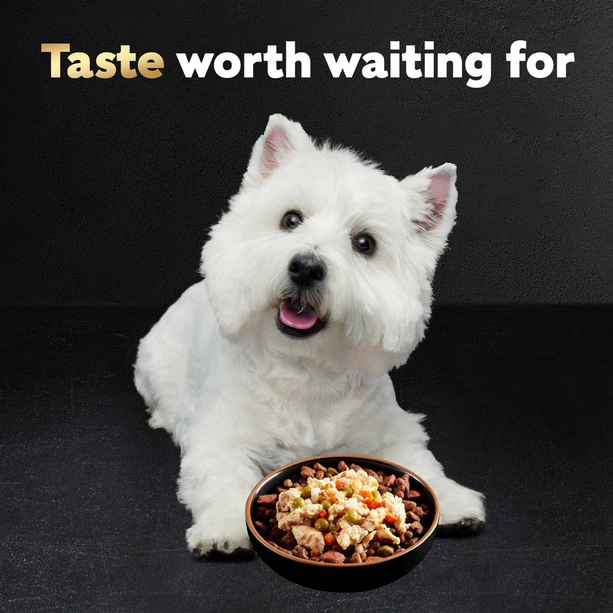 Chicken Wet Dog Food T544