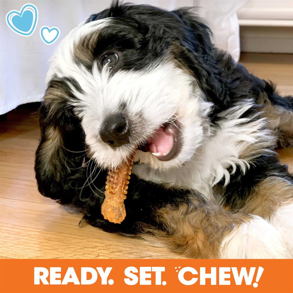 Chew Toy & Treat Gift Box Y9040