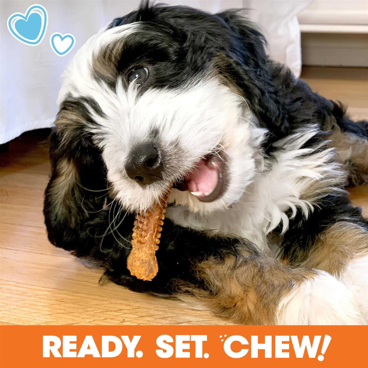 Chew Toy & Treat Gift Box Y9040