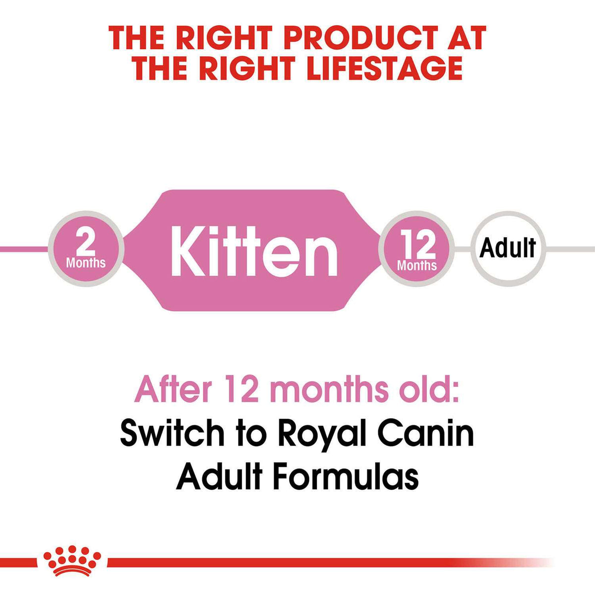 Kitten Dry Food Y365619