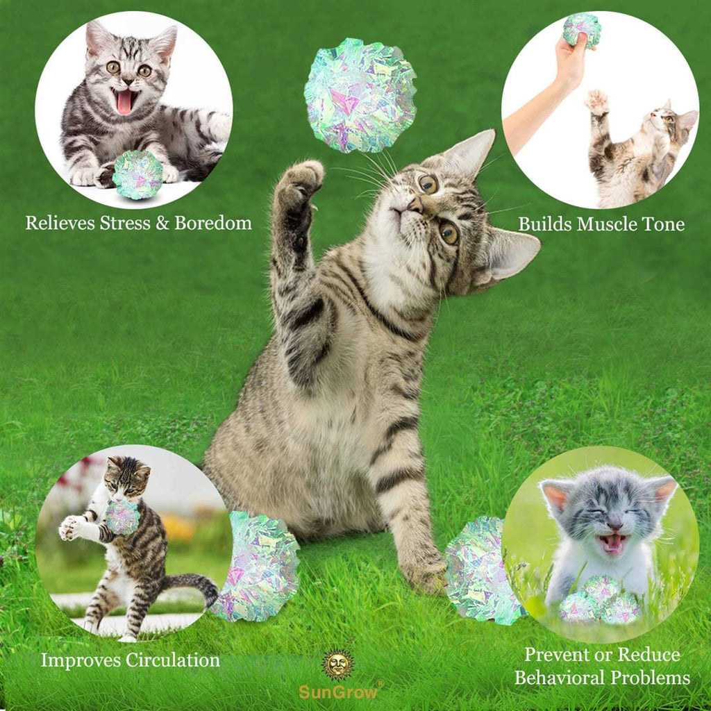 Clear Mylar Cat & Ferret Crinkle Balls & Chase Toy Y591610