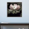 Floater Frame Photograph on Canvas B14478