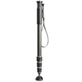 Carbon Fiber 4-Section Monopod P136674