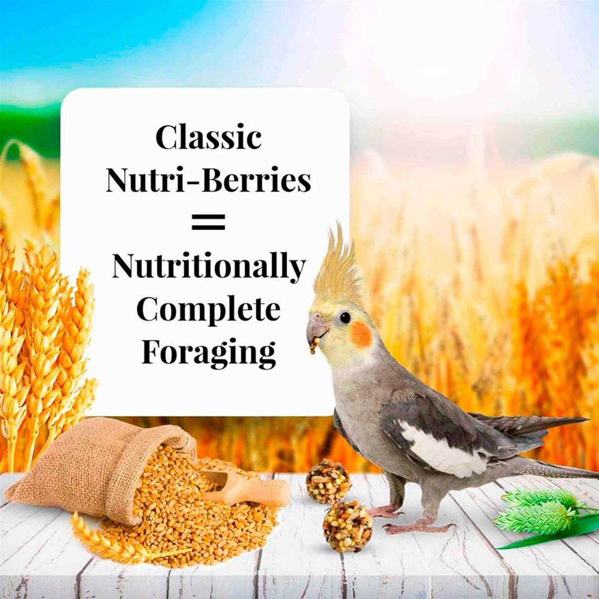 Nutri Berries Food N627110