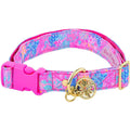 Dog Collar M80877