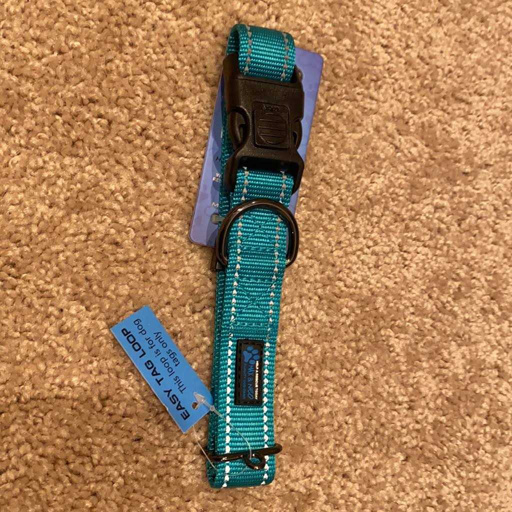 Reflective Nylon Dog Collar B828556
