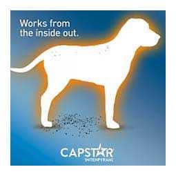 Flea Tablets for Dogs U503