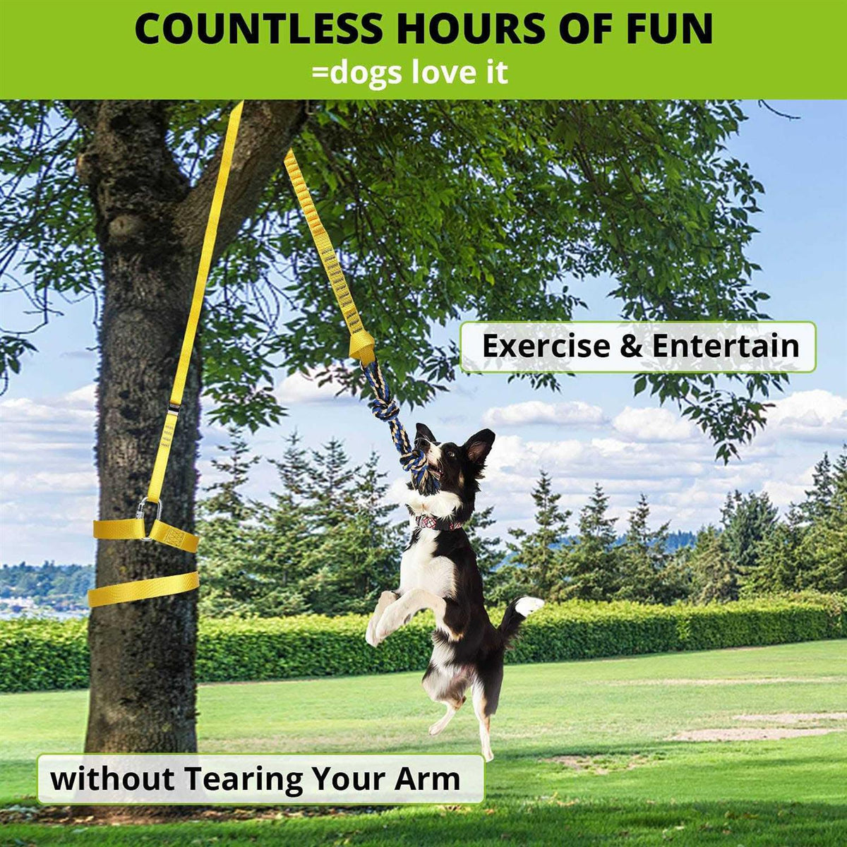 Dog Hanging Bungee Tug Toy U6593
