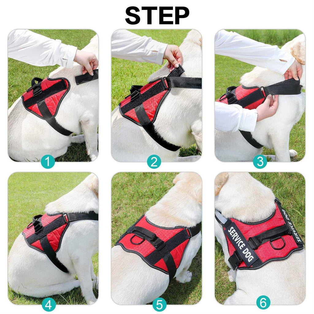 Service Dog Harness P154713