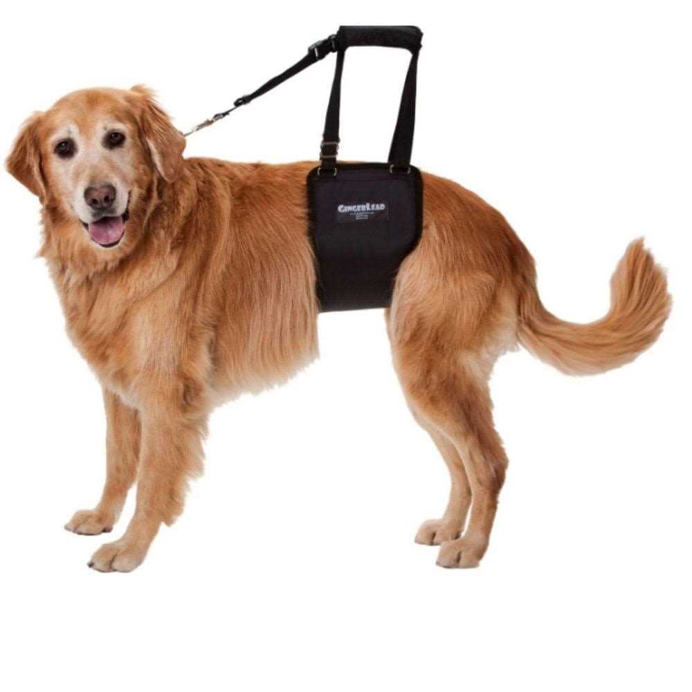 Dog Support Rehabilitation Harness A169829