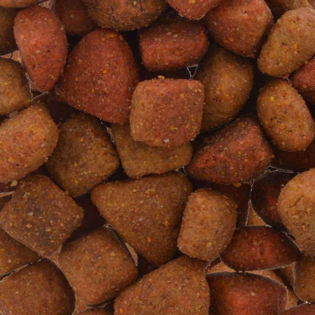 Beef Dog Food D564