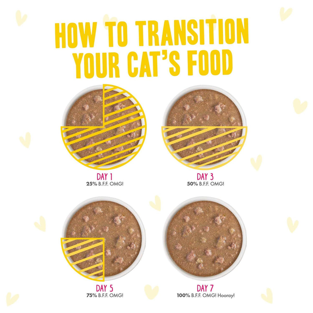 Wet Cat Food B5790