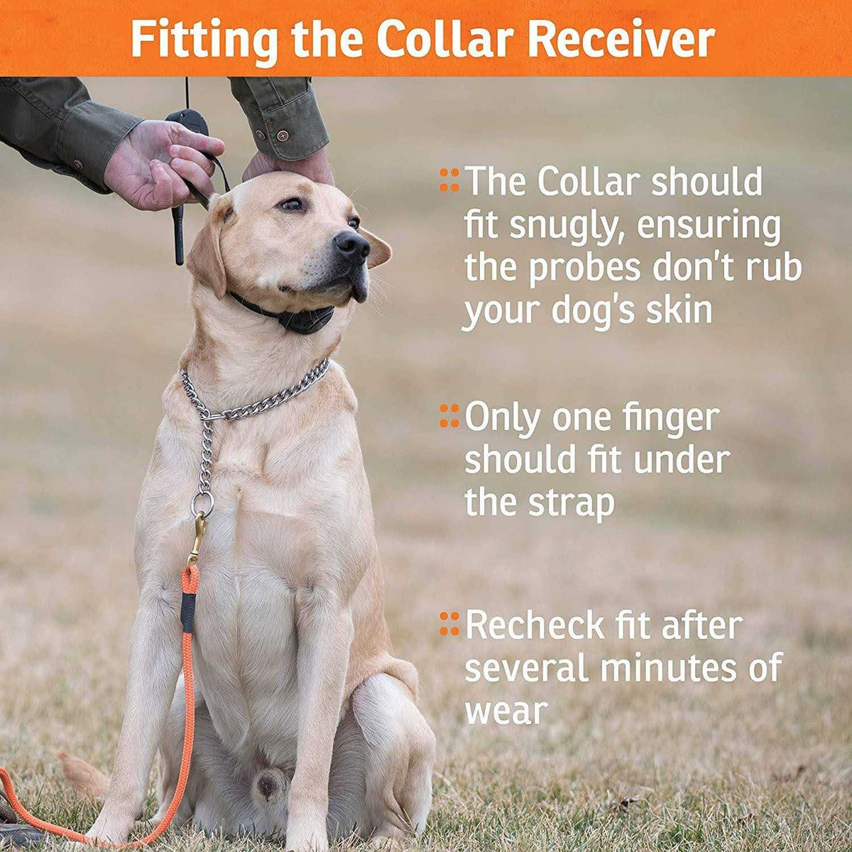 Add-A-Dog Collar G81501