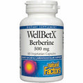 Berberine 500 mg Q221660