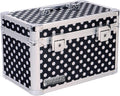 Black Medium Locking Storage Case with Dividers U1703