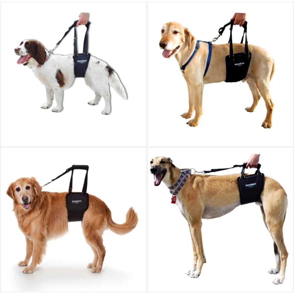 Dog Support Rehabilitation Harness A169829
