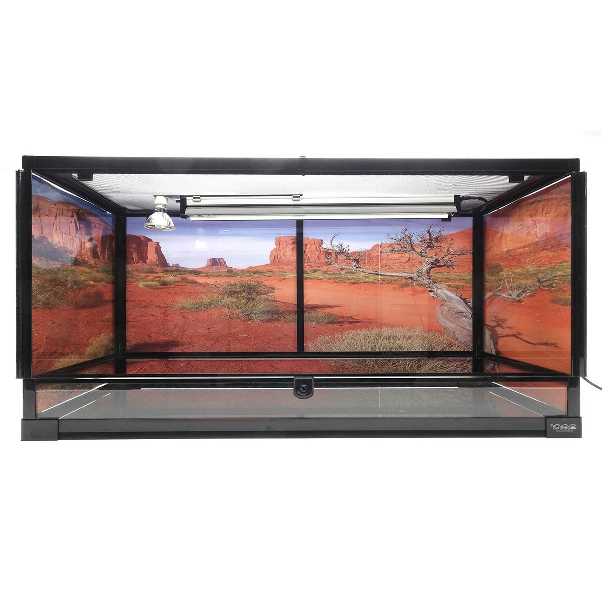 Terrarium P67736