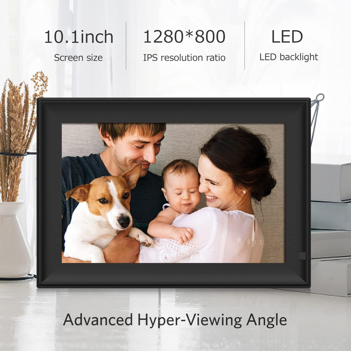 10.1 Inch LCD Digital Photo Frame with Remote Control O8996