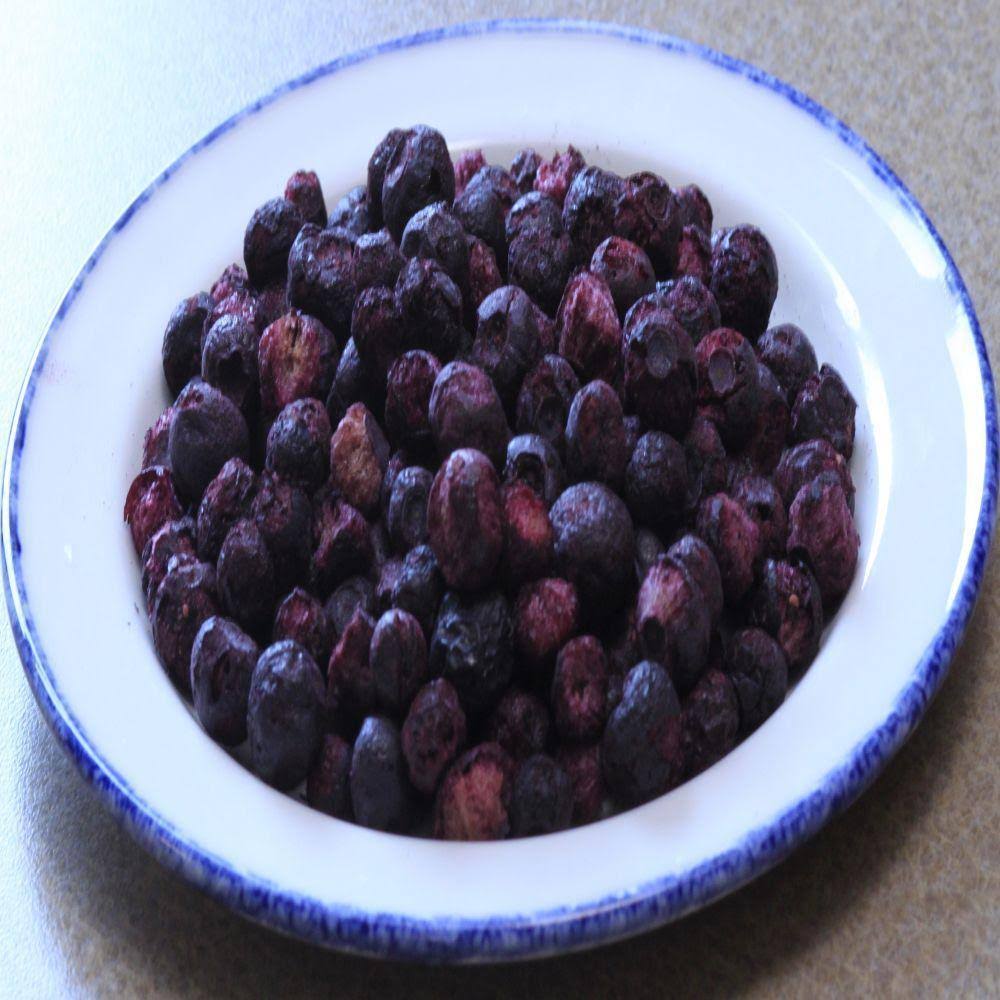 Freeze Dried Blueberries Case Pack N7545