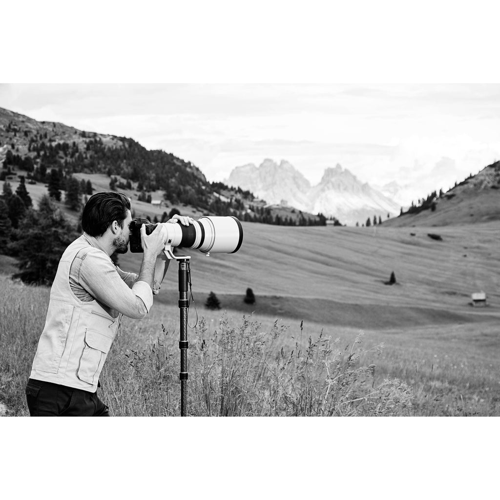 Carbon Fiber 4-Section Monopod P136674