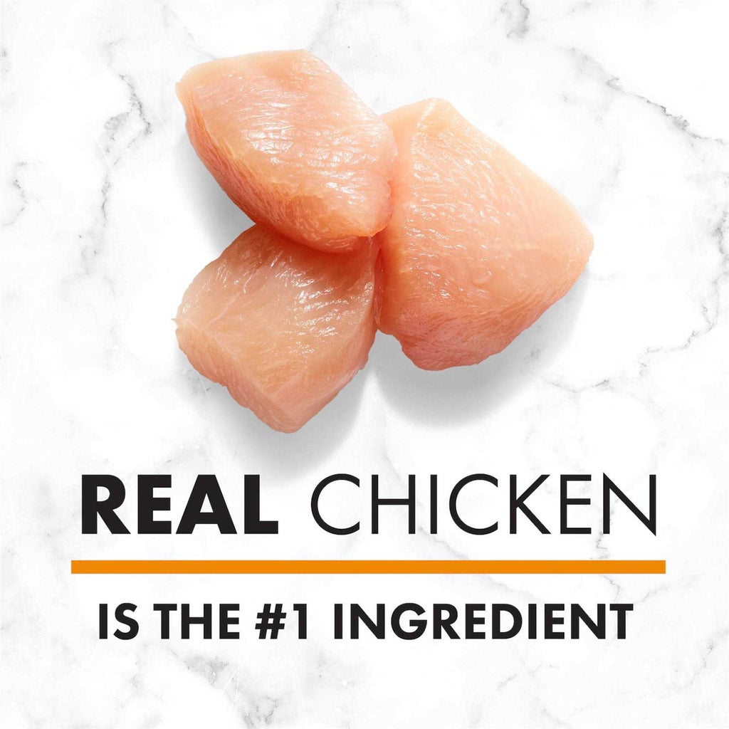 Chicken & Brown Rice Senior Dry Dog Food N221