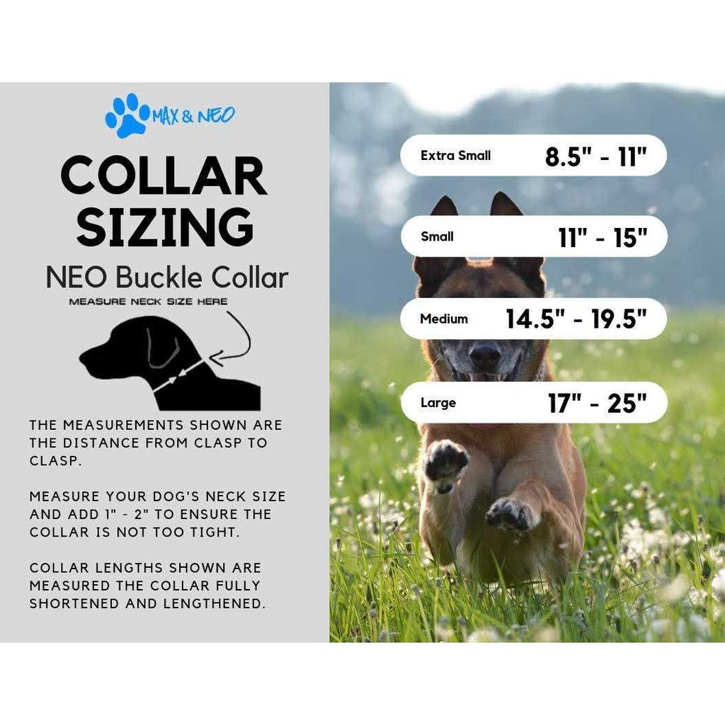 Reflective Nylon Dog Collar B828556
