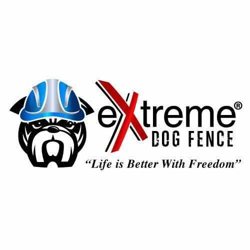Electric Dog Fence Boundary Flags S82149