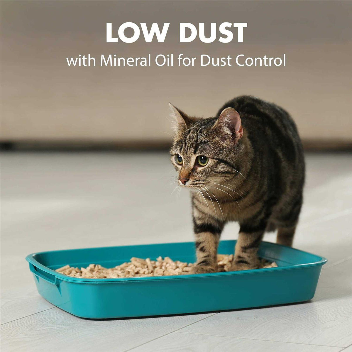 Multi-Cat Litter X454762