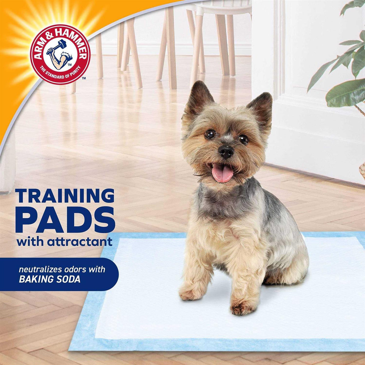Dog Training Pads with Attractant O6202