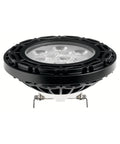 3000K Landscape LED PAR36 14W 25 Degree Black G4729