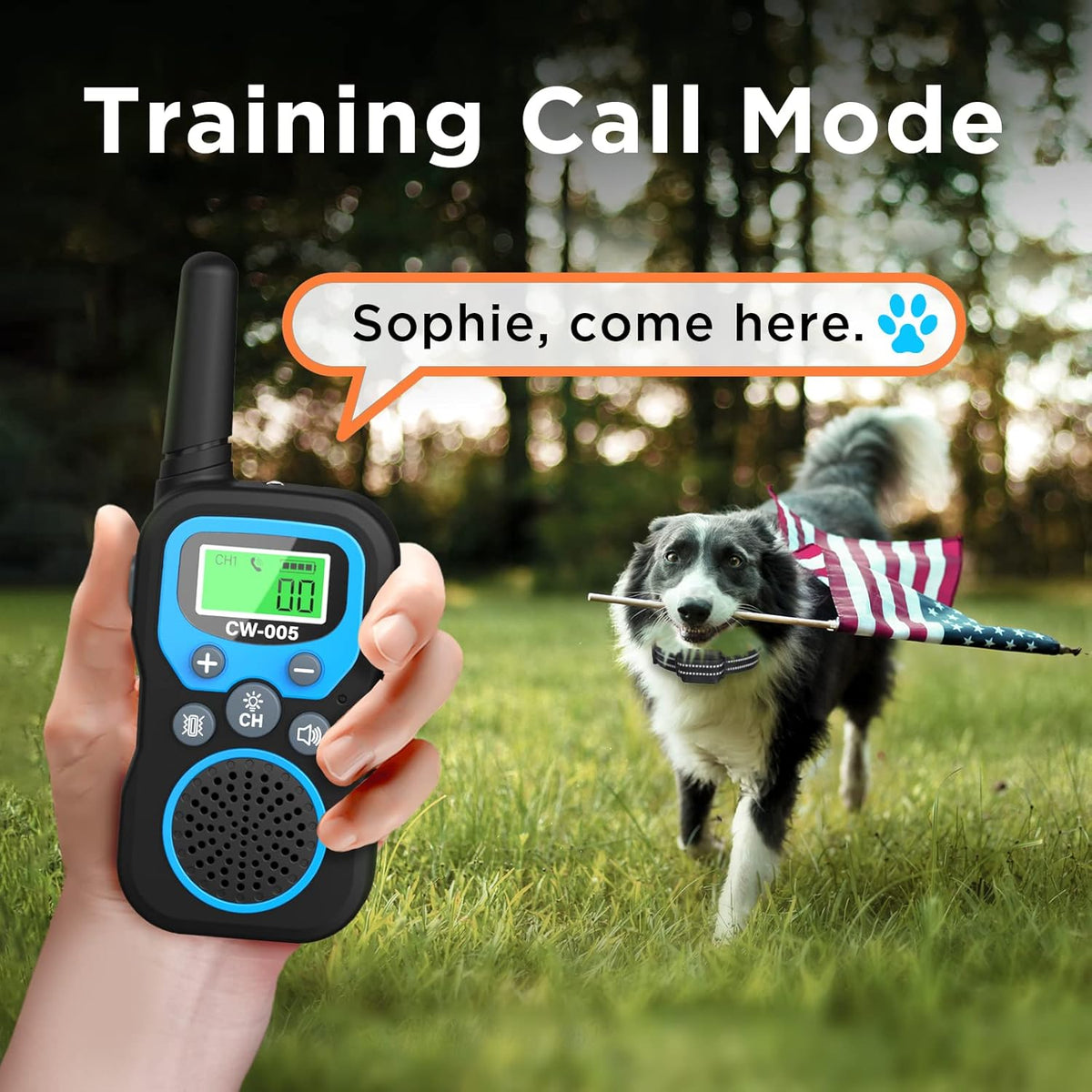 Dog Training Collar with Remote, Vibration Beep Modes, Waterproof Rechargeable, Pack of 2 V828876