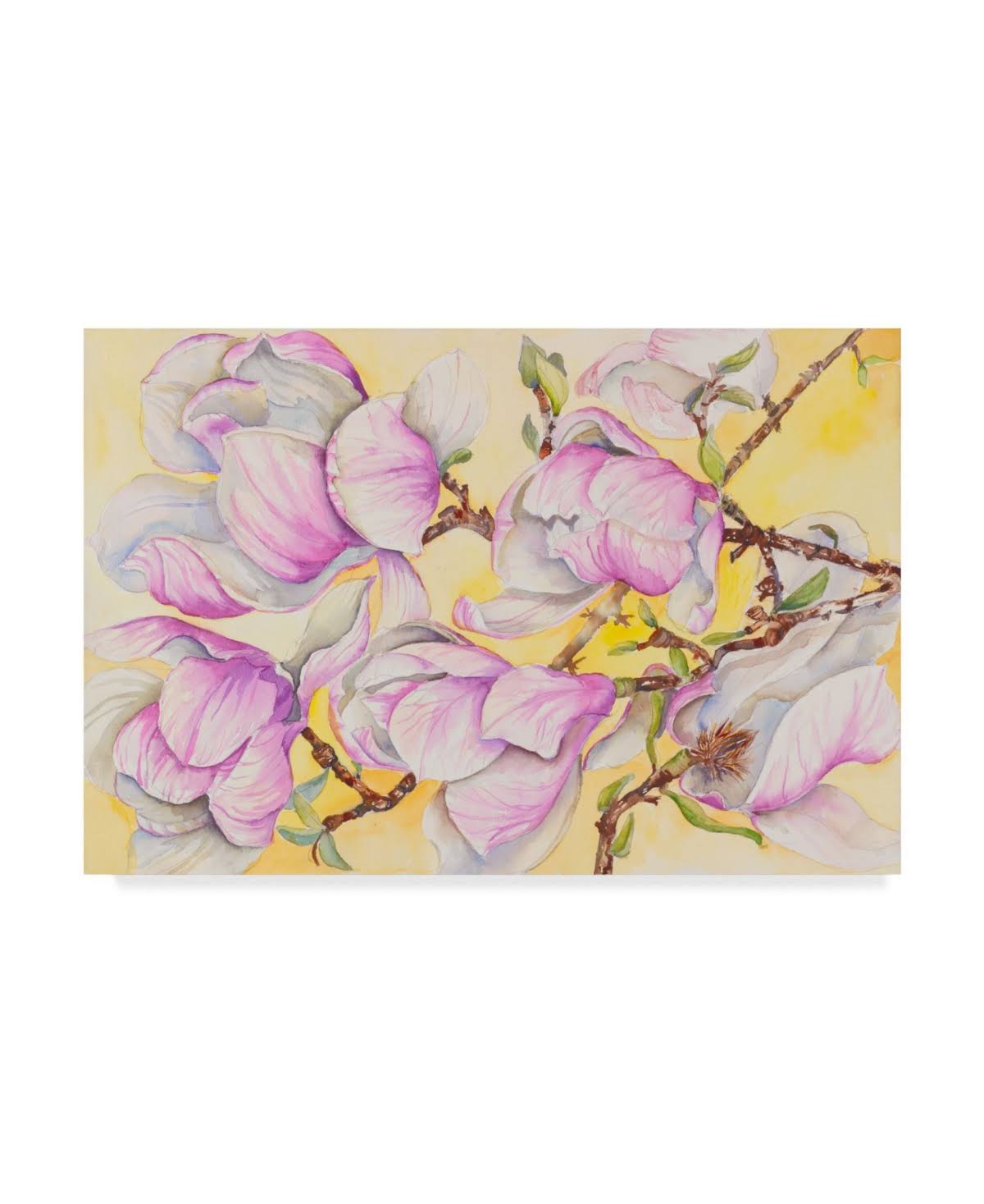 Tulip Tree Canvas G9964