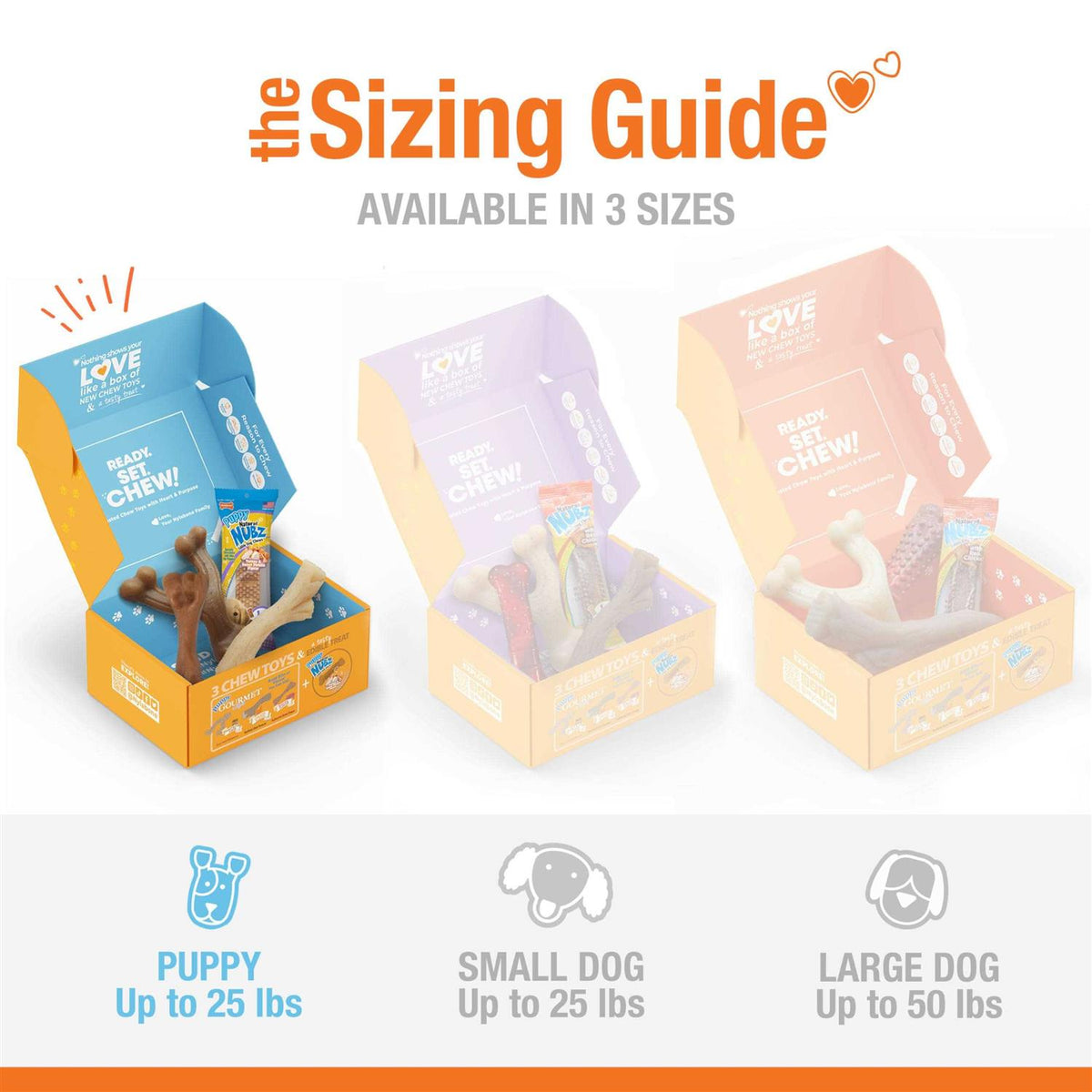 Chew Toy & Treat Gift Box Y9040