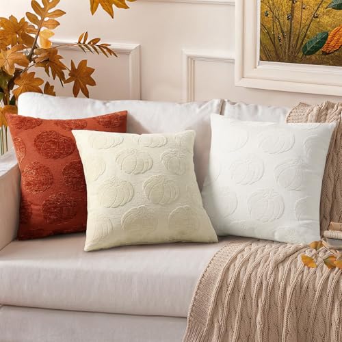 Christmas Chenille Soft Throw Pillow Covers 18x18 Set of 2 J779