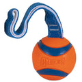 Dog Toy S187472