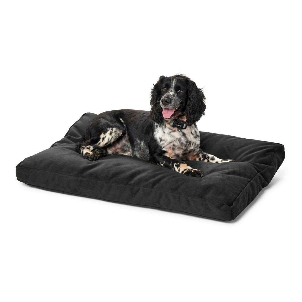 Platform Dog Bed Y539275