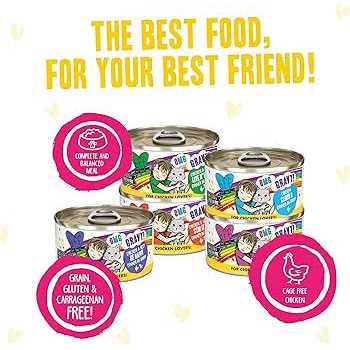 Wet Cat Food B5790