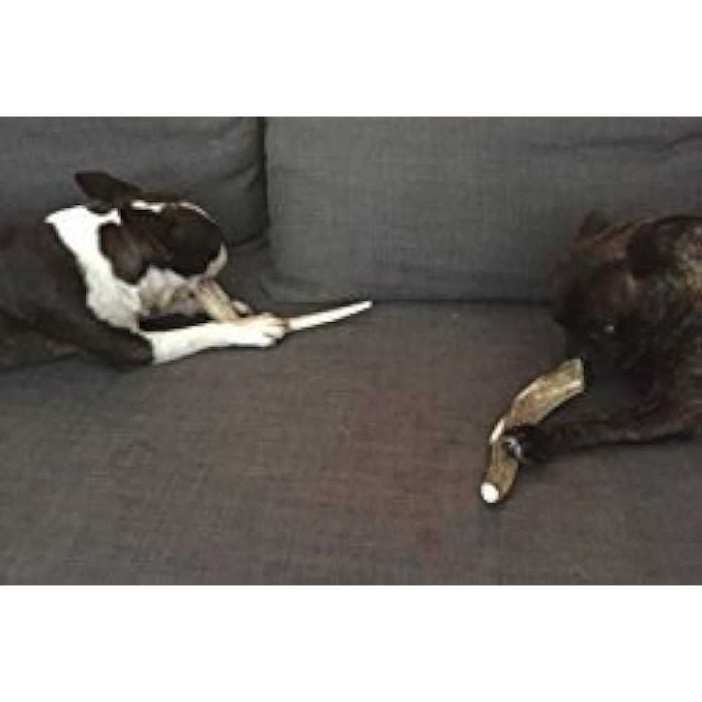 Deer Antler Dog Chews 1 lb L612