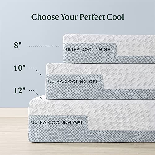10 Inch Cooling Gel Memory Foam Queen Mattress F310276